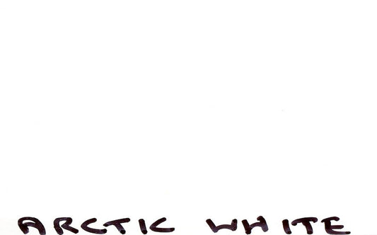 Arctic White Paint