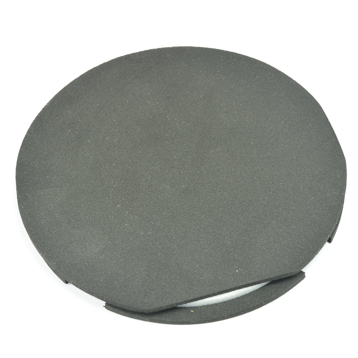 Lightweight Feedback Eliminator for Acoustic Guitar