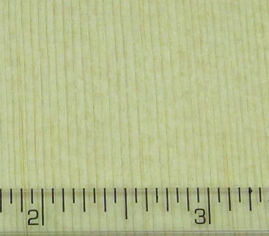 Sitka spruce Closeup